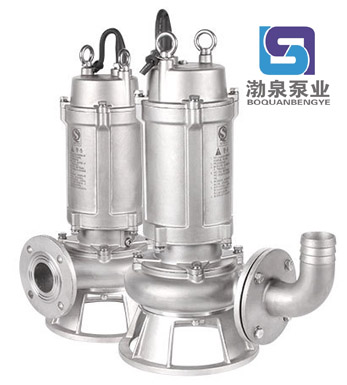 300WQ1000-25-110S_不銹鋼高效無堵塞排污泵